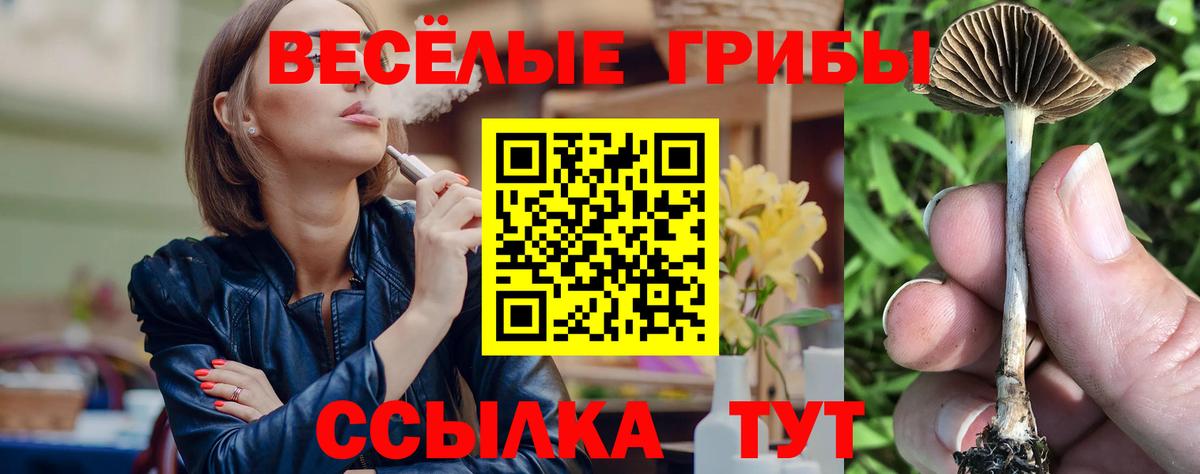 Галлюциногенные грибы прущие грибы  Вход с VPN  Галлюциногенные грибы MAGIC MUSHROOMS  Гагарин 